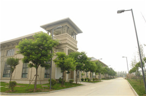 草莓视频网址入口新材厂房车间